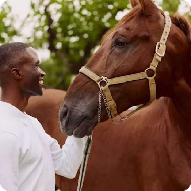 def9006123af4ae7f76c004e09389a64@2x