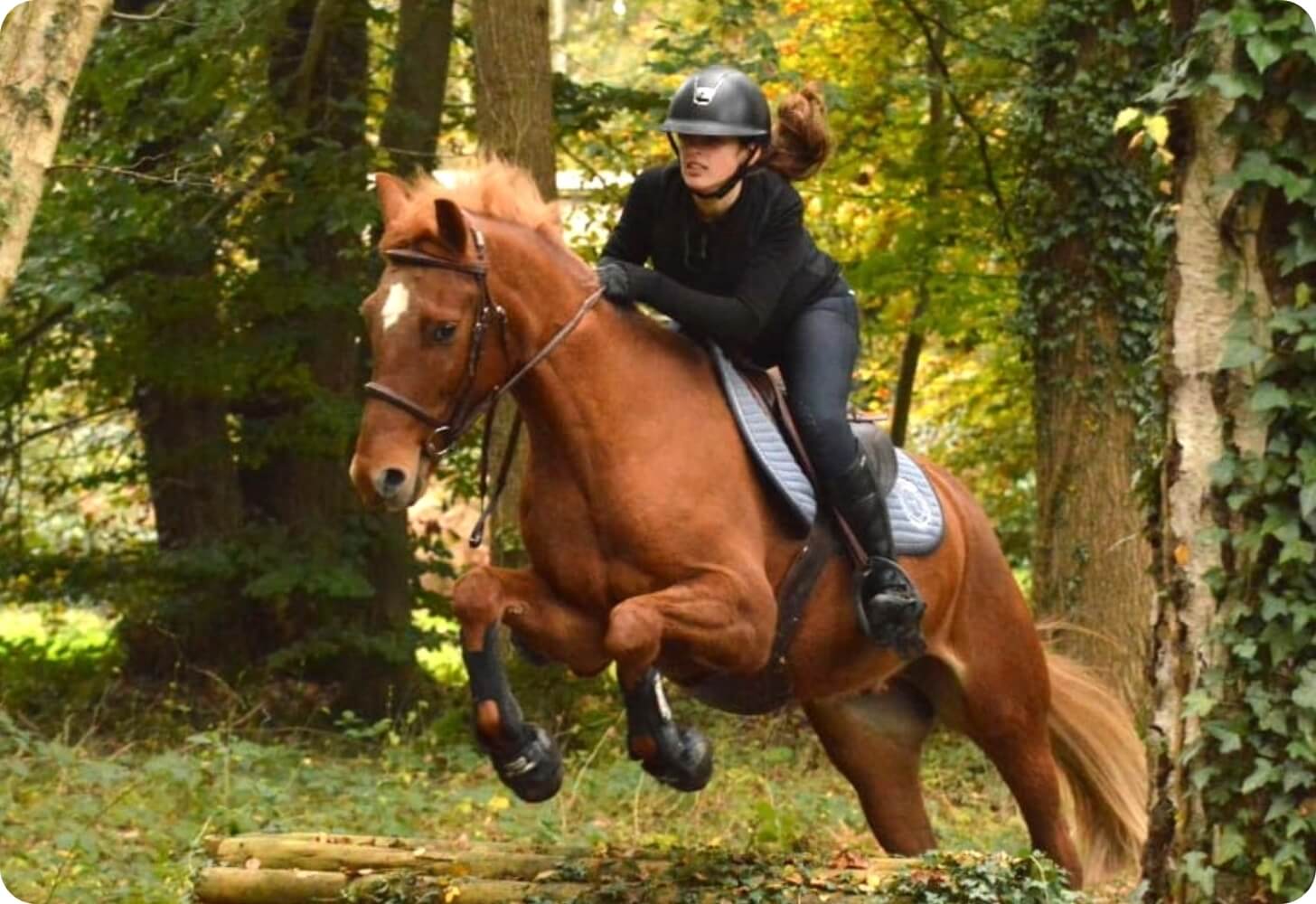 Cours d’équitation – Centre équestre du Brévedent@2x