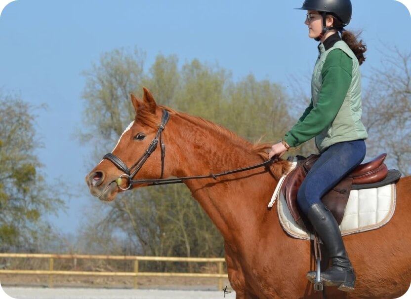 Stage équitation – Centre équestre du Brévedent@2x